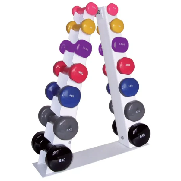 Halteres en vinyl paire gym 2048x1546.jpg